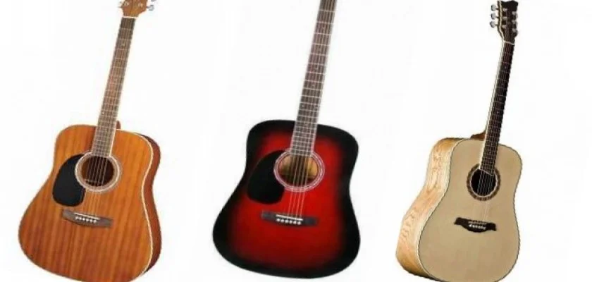 Lag T66D Akustik Gitarların Farkı Nedir