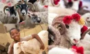 Kurban Bağışı ile İyiliği Dünyanın Dört Bir Yanına Ulaştırın