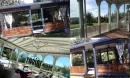 Kamelya Modelleri ile Bahçenize Estetik Dokunuş