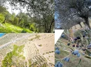 Akçay Satılık Zeytinlik Almanın Avantajları