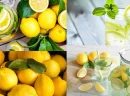 Limonun Besin Değerleri ve Sağlığa Katkıları