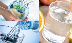 Suyun Sağlıktaki Önemi ve Vücut Fonksiyonları
