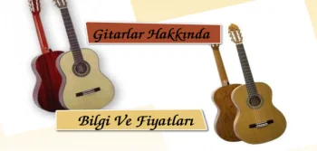 Gitarlar Hakkında Bilgi Ve Fiyatları