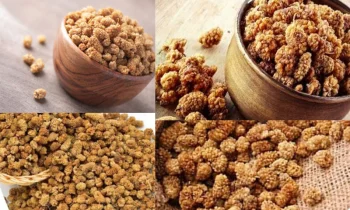 Dried Mulberries (Kuru Dut) Nedir?