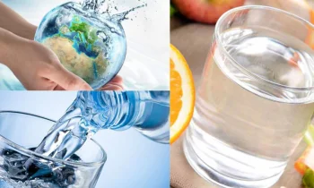 Suyun Sağlıktaki Önemi ve Vücut Fonksiyonları