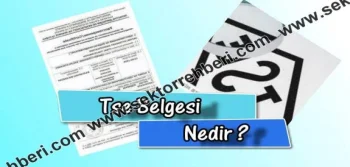 Tse Belgesi Nedir