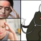 Sülüğün İyileştirici Etkisi Nedir?