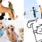 Veteriner Klinik Takip Programı 