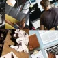 Freelancer Türkiye Fırsatları