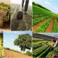 Mevsim Geçişlerinin Üretime Etkisi Nedir?