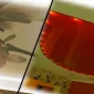 Mekânlarda Alternatif Çözümler Germe Tavan İle Sağlanıyor