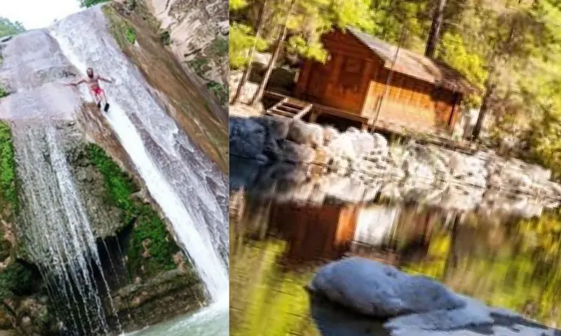 doğakacamak-2-li-1